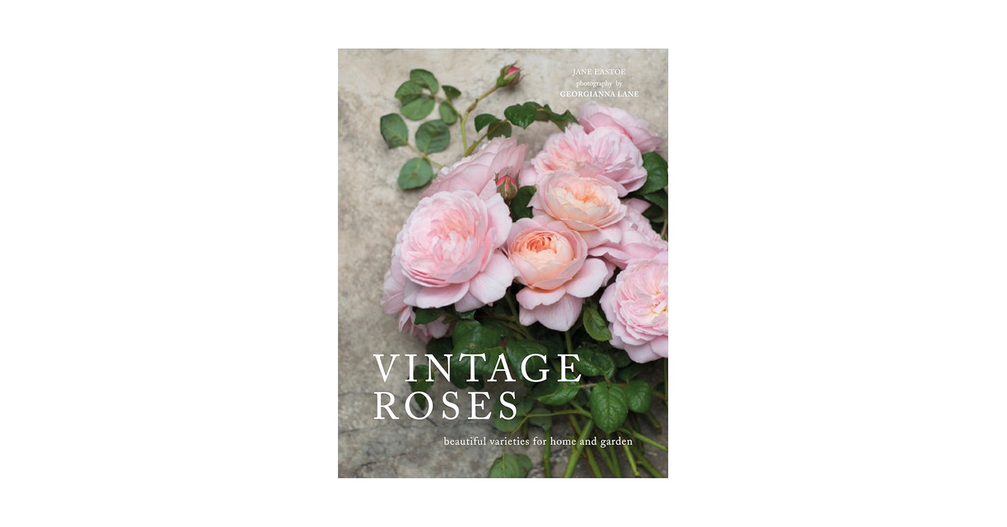 Vintage Roses Book
