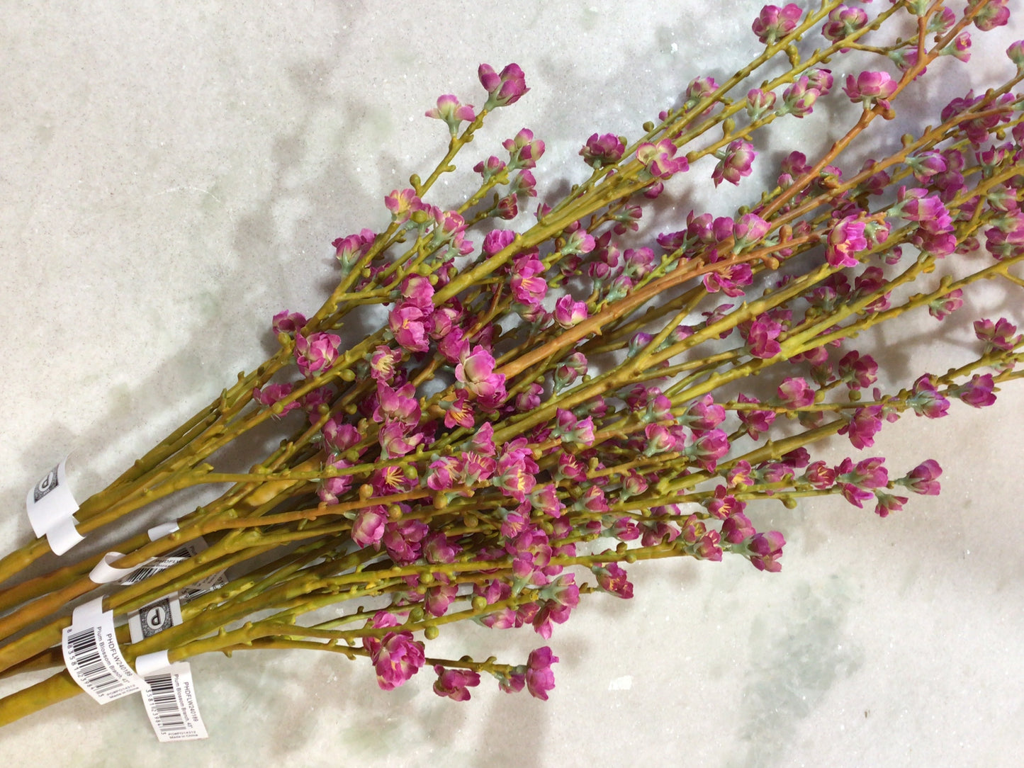 Plum Blossom Branch