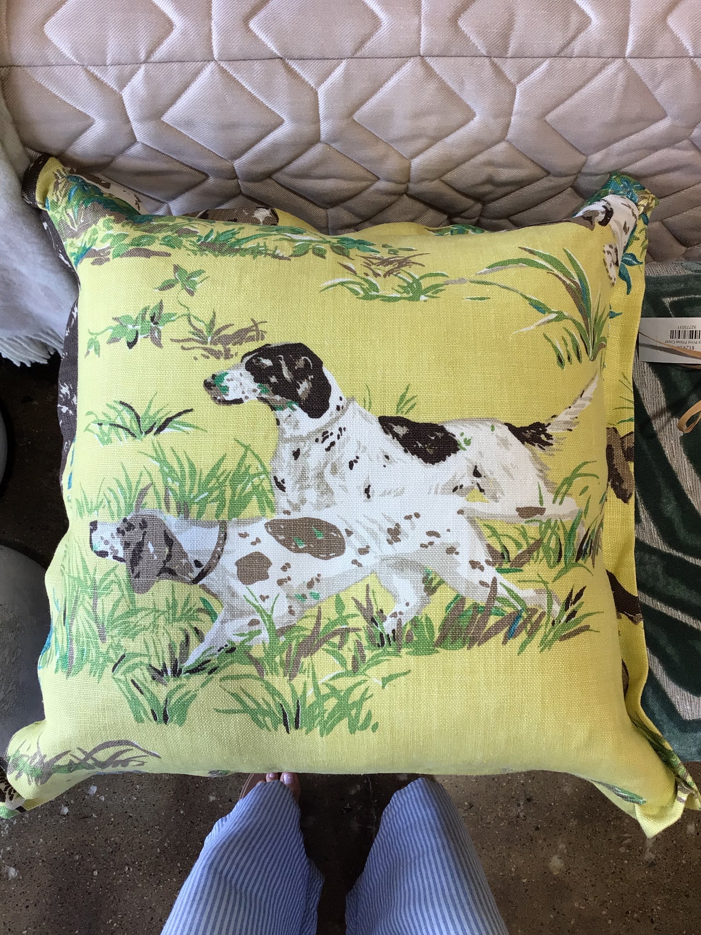 Schumacher Dogs Pillow