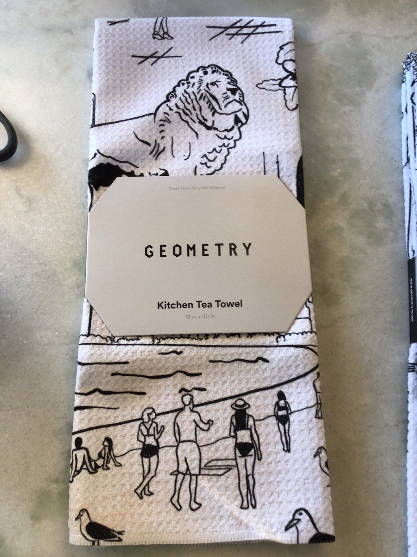 Geometry Chicago Tea Towel
