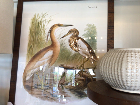 bird art