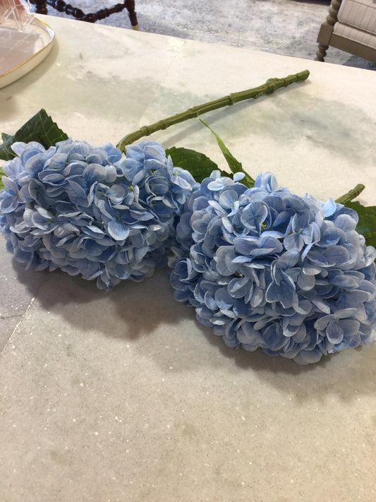 Blue hydrangeas