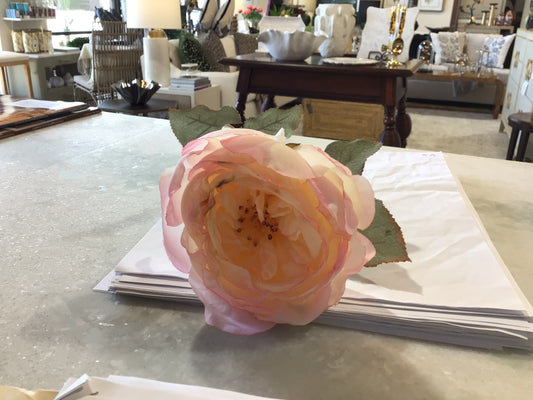 Dried Rose Light Pink