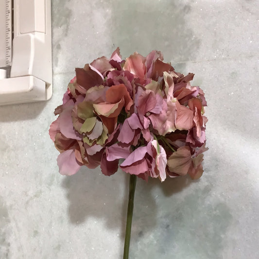 Rose hydrangea stem