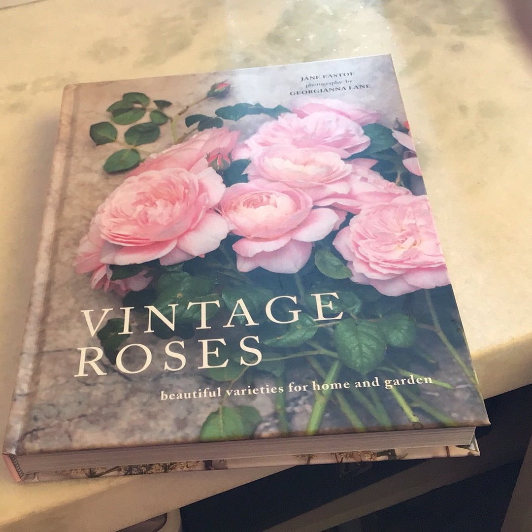 Vintage Roses