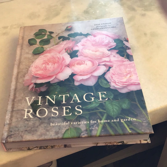 Vintage Roses