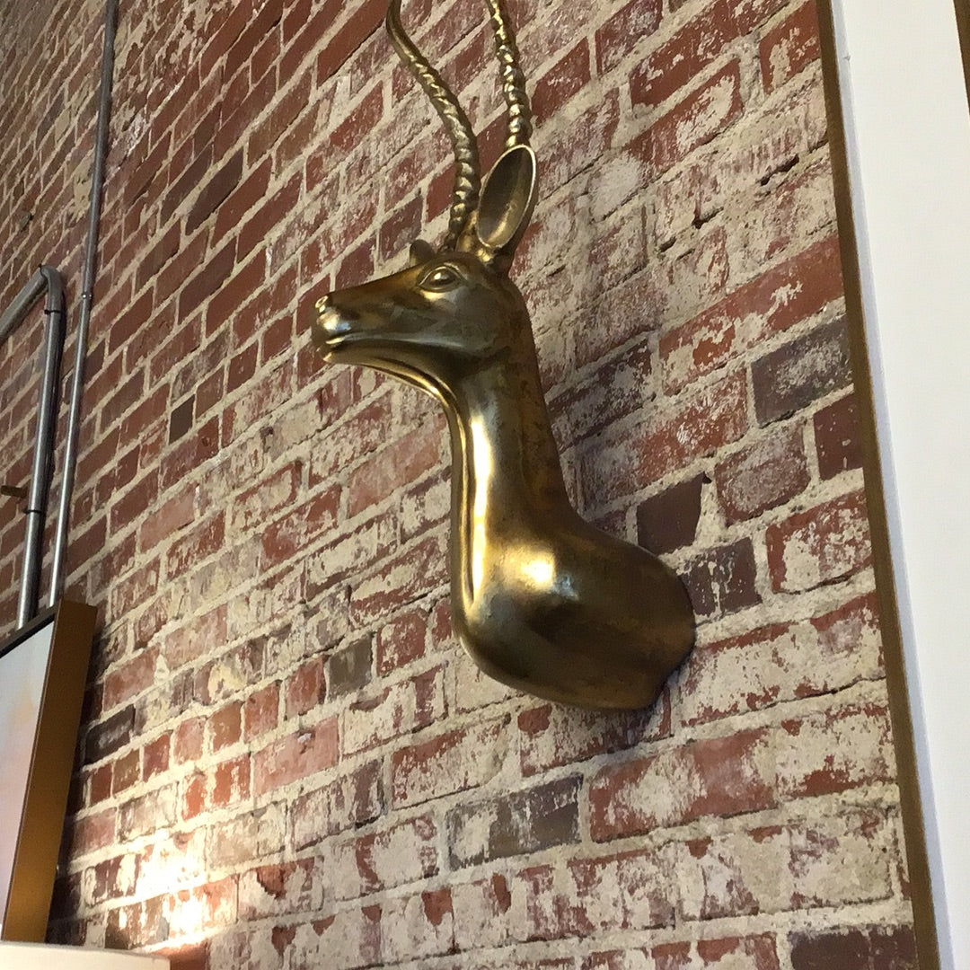 Deer head