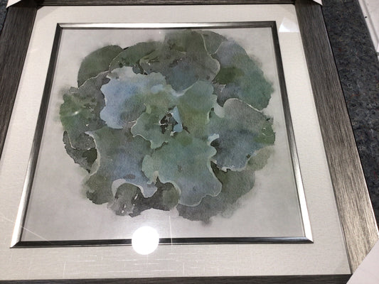 Natural Beauties S/4 Wall Art.