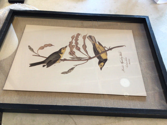 Bird Botanical Print
