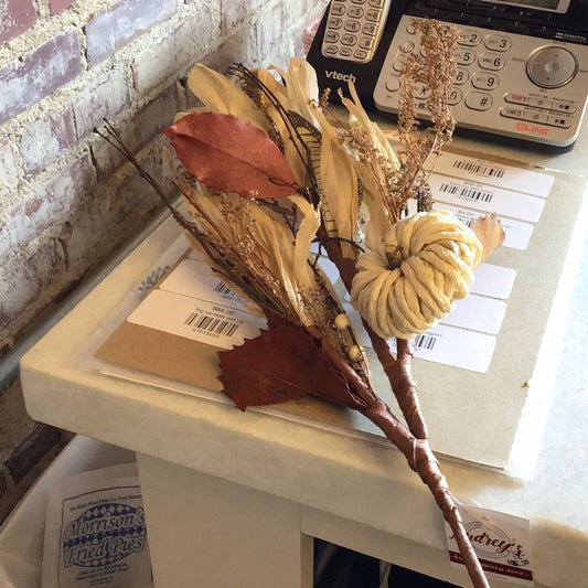 Dried Husk w Pumkkins
