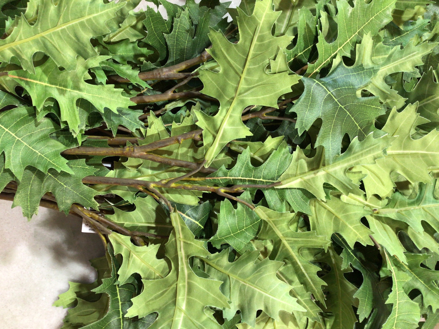 Green Oak Branch