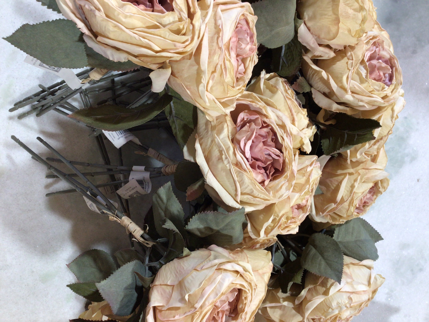 English Rose Stem