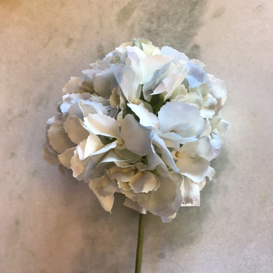 Blue hydrangea stem