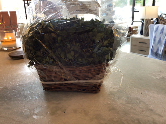 Md. Preserved Boxwood Hedge