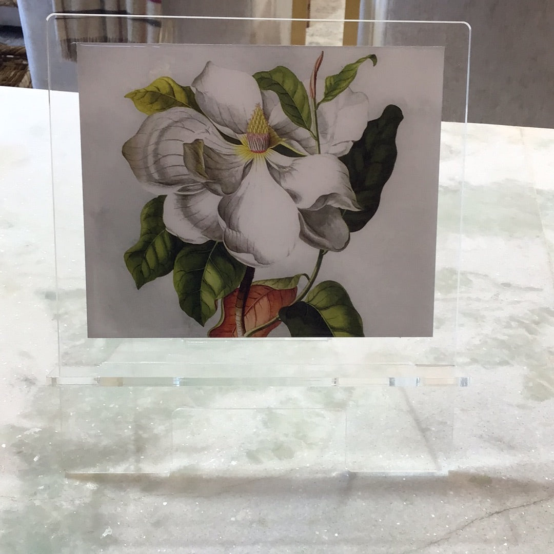 Acrylic stand
