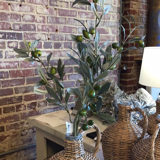 Green olive stem