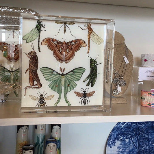 Acrylic tray insects