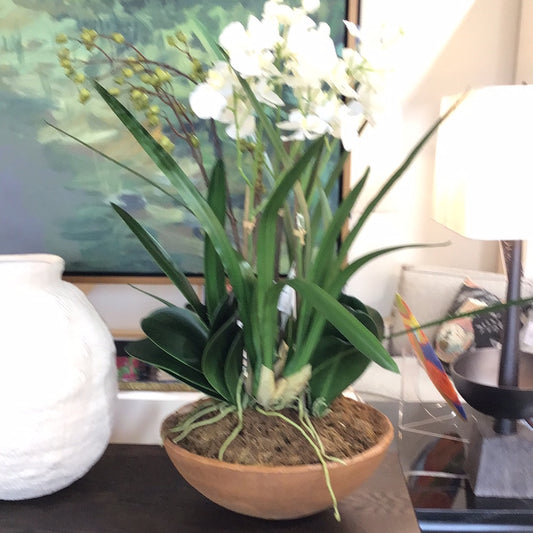 Moth orchid planter