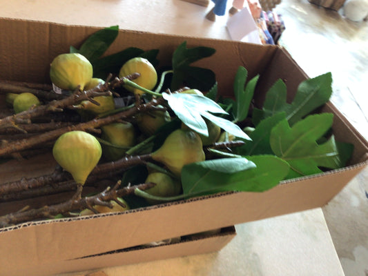 Kadota Fig