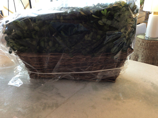 Lg. Preserved Boxwood Hedge