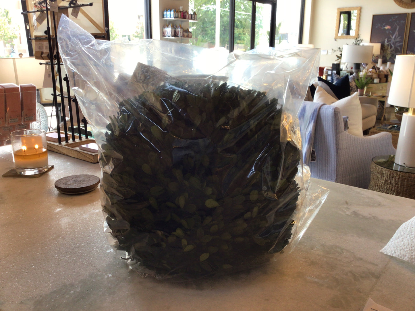 Preserved Boxwood 12” Ball