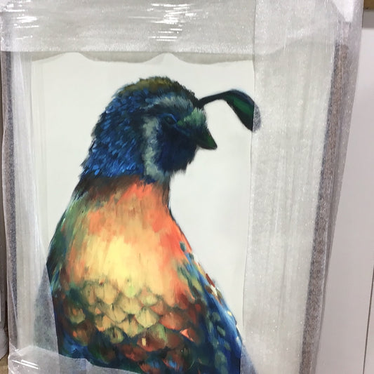 Quail I