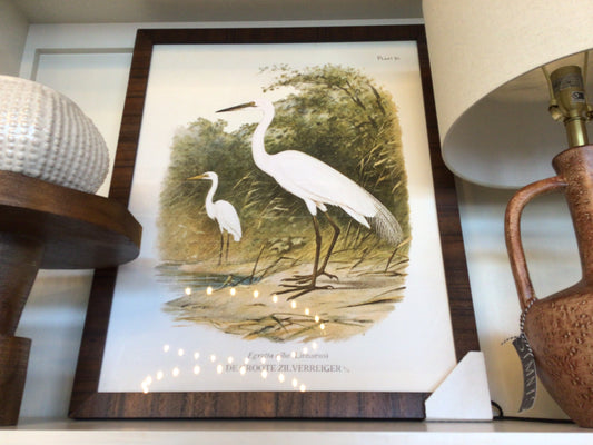 bird art