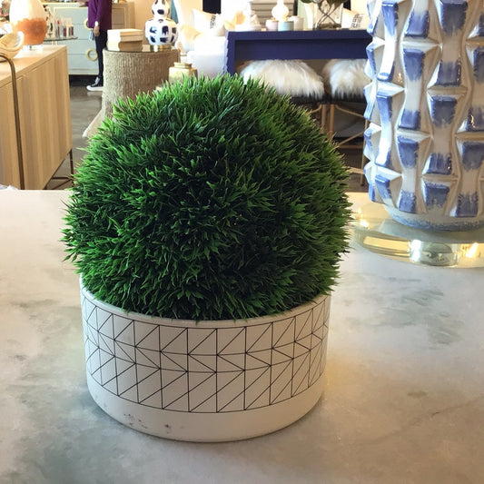 Sphere potted plant