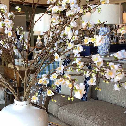 Quince blossom branch