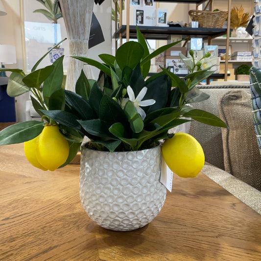Positano Lemon Accent