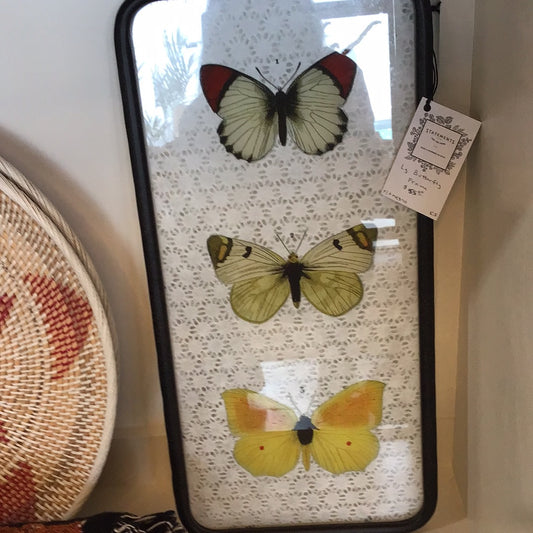 Lg. Butterfly Frame