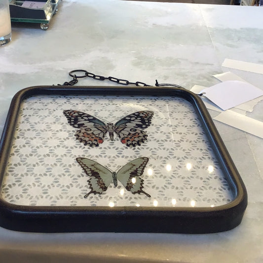 Butterfly Sm Frame