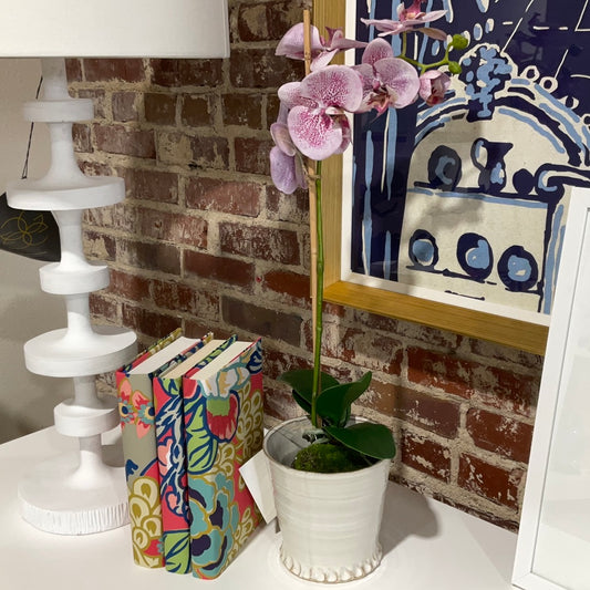 Potted Orchid